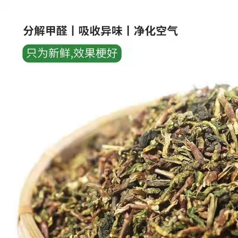 广州申通-礼品大茶梗